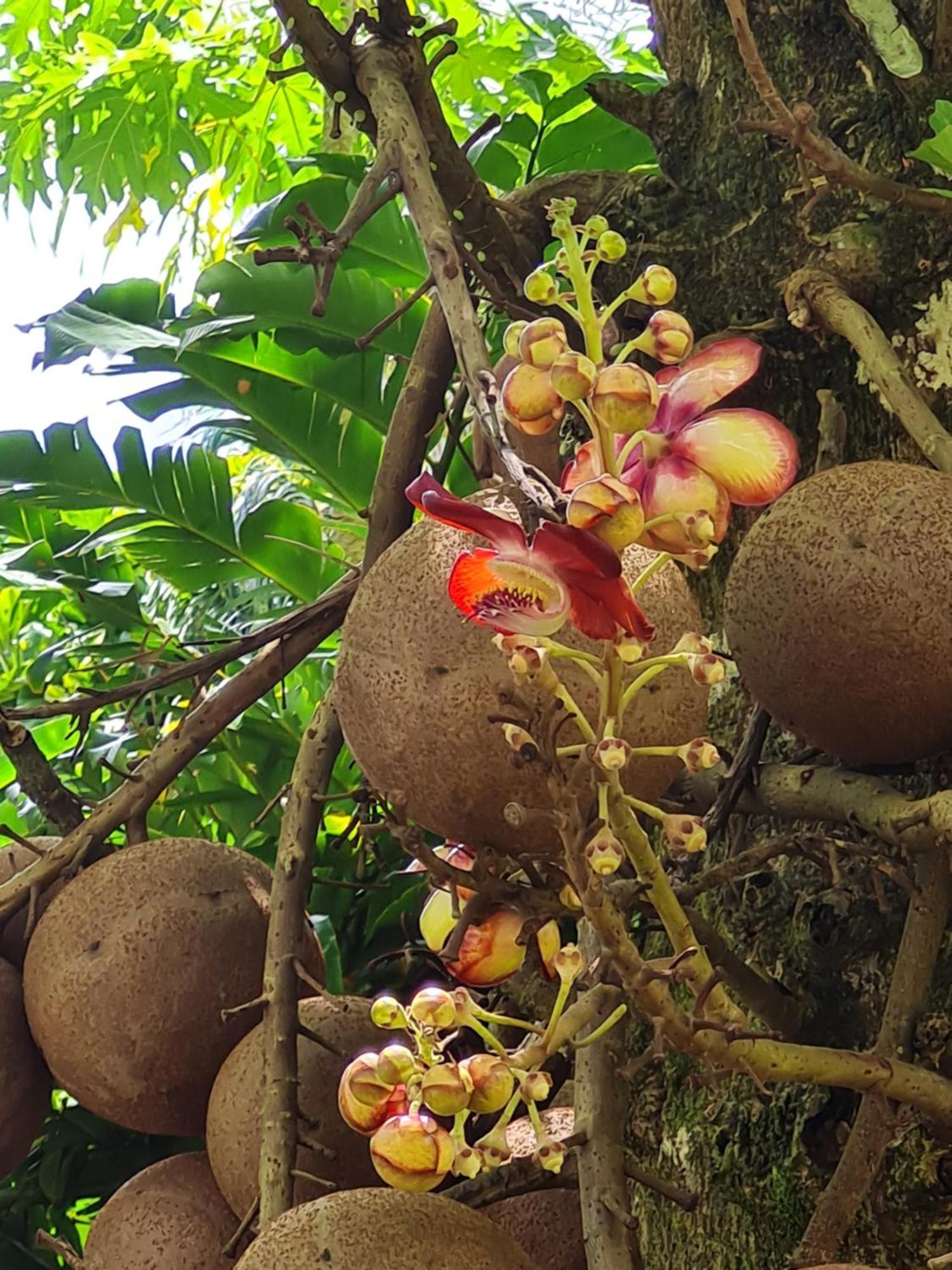Les Gites Kajou 波尔兰特 外观 照片